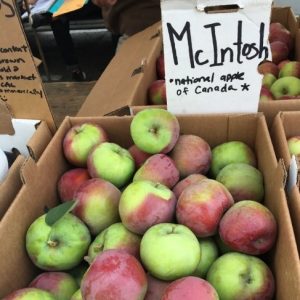 Gadget Hub - Blog - Curiosidades sobre a Apple que você não sabia_2